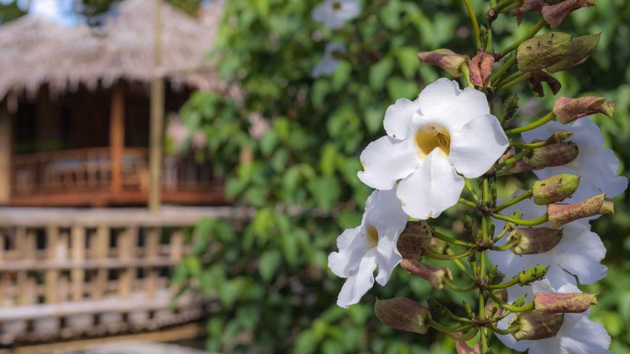 Onong'S Homestay & Cafe Tomohon Zewnętrze zdjęcie